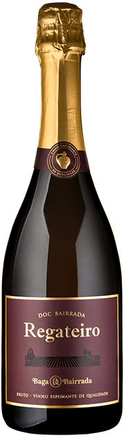 Regateiro Baga Bruto 2019