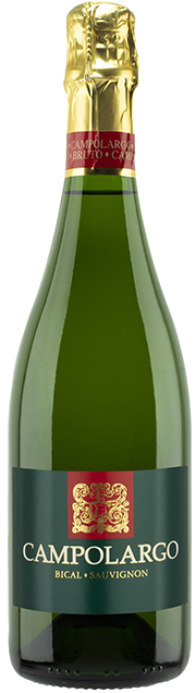Sparkling wine Campolarigo Bical & Sauvignon Bruto 2022