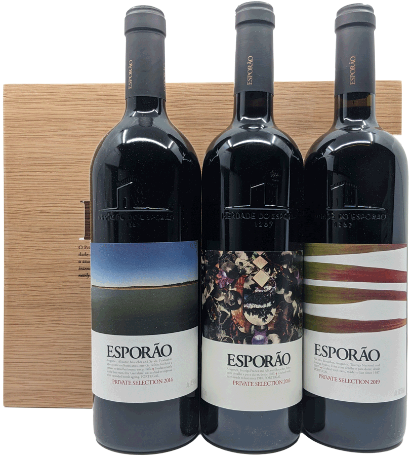 Conjunto Esporao Vertical (14/16/19)