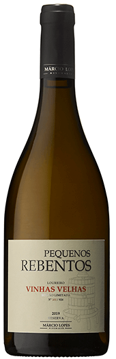 Small Shoots Old Vines 2021