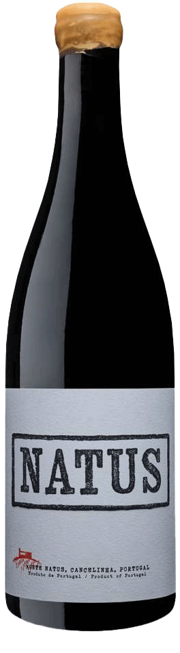 Natus Red 2022