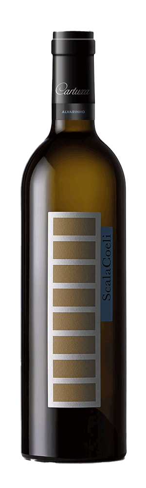 Scala Coeli Sauvignon Blanc White 2022