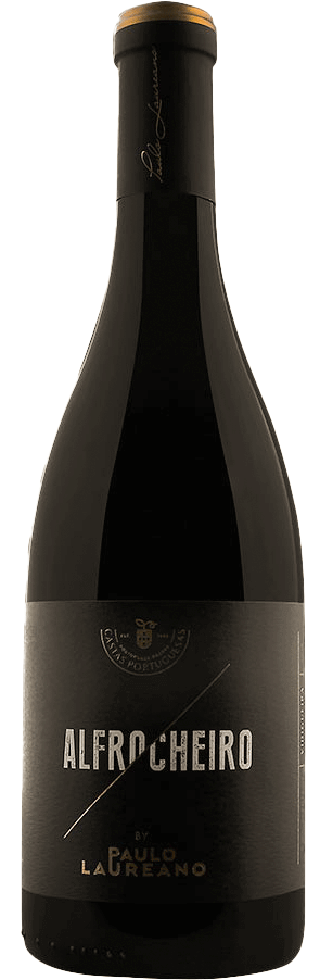 Paulo Laureano Alfrocheiro Tinto 2018