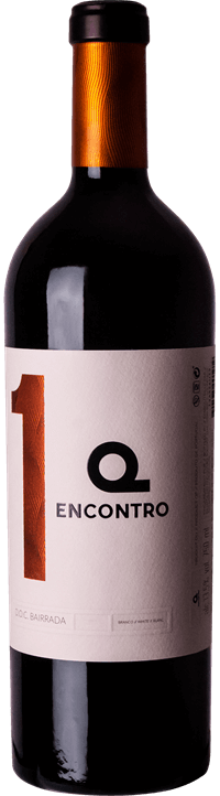 1º Incontro Bianco 2015
