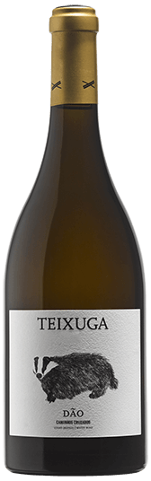 Teixuga Wit 2019