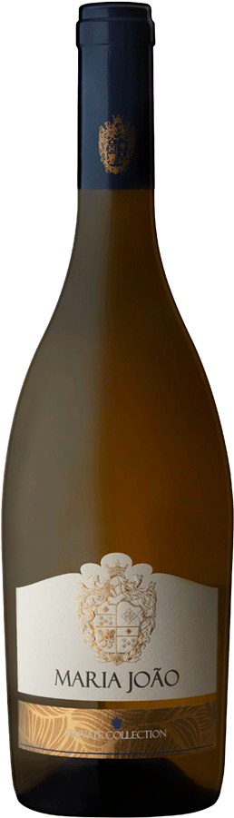 Maria Joao Coleção Privada Branco 2019