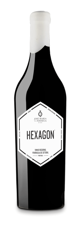 Hexagon Red 2017