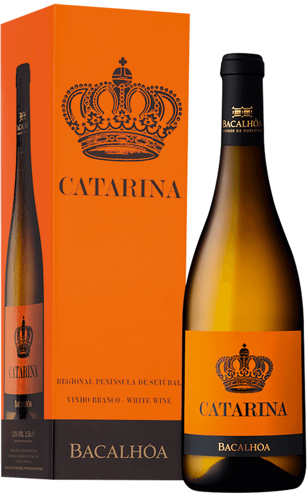Catarina Branco Magnum 2023