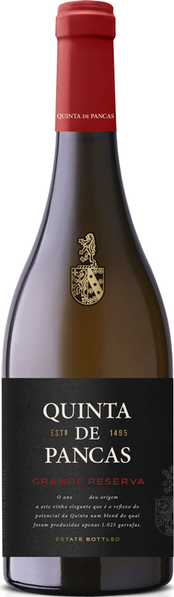 Quinta De Pancas Grande Reserva Branco 2024