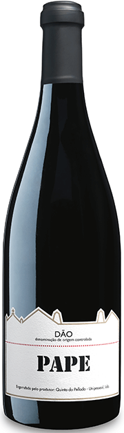 Pape Tinto 2019