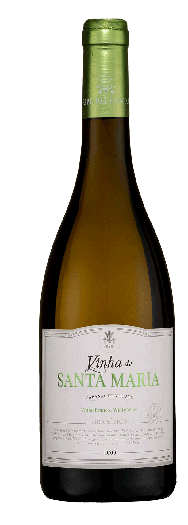 Santa Maria Granitico Branco 2024