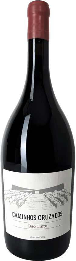 Caminhos Cruzados Tinto Magnum 2020