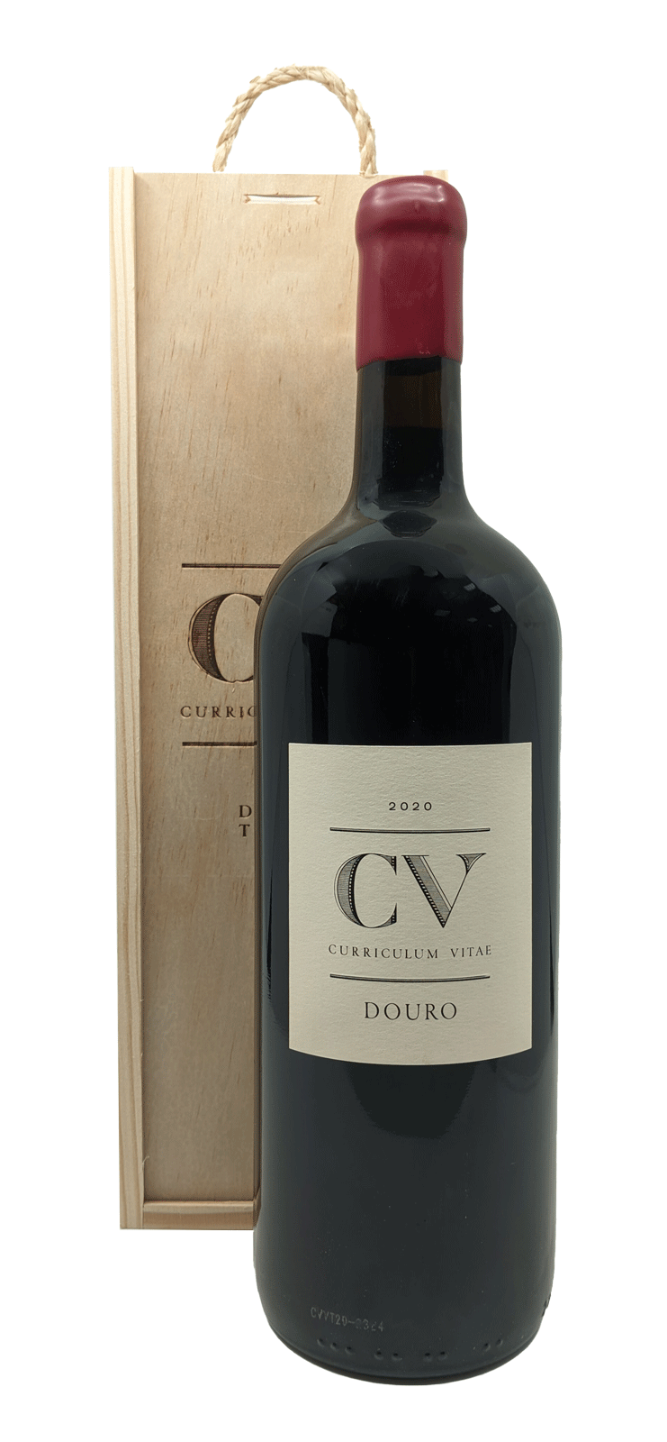 Cv-curriculum Vitae Tinto Magnum 2020