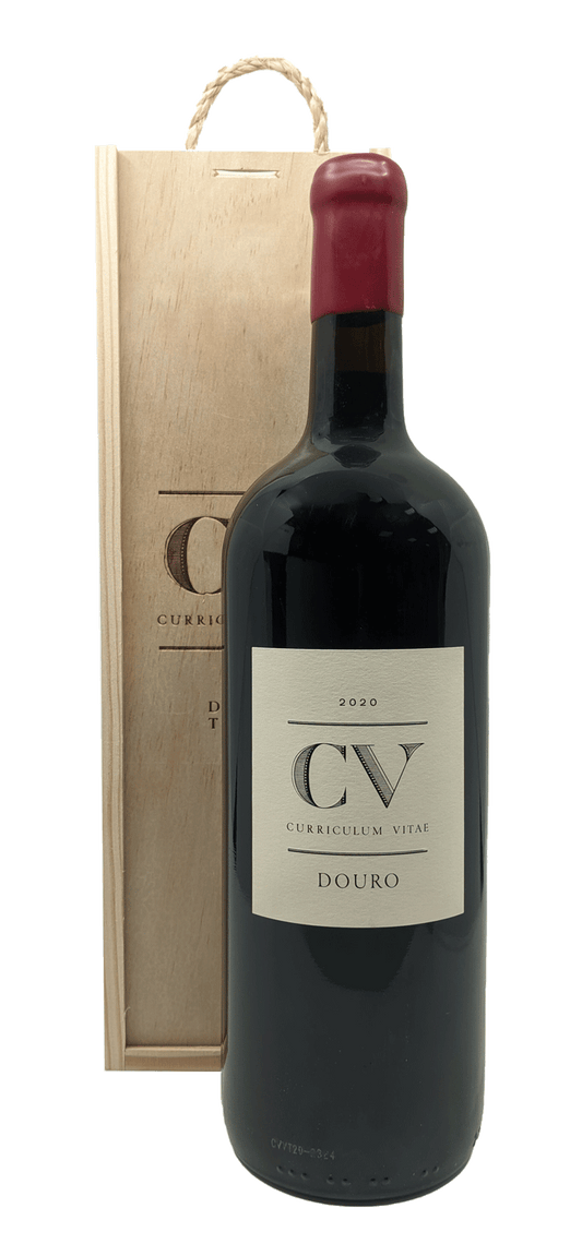 Cv-curriculum Vitae Tinto Magnum 2020