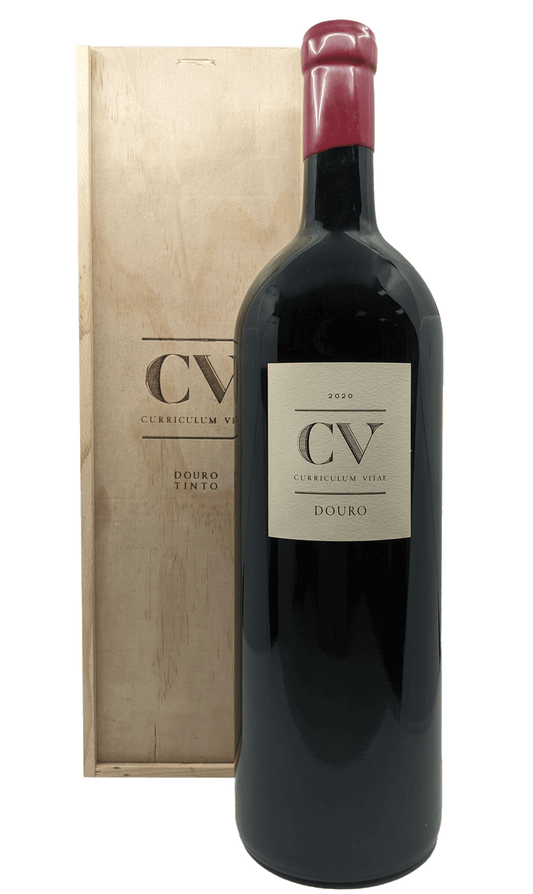 Cv-curriculum Vitae Tinto 3 Litri 2020