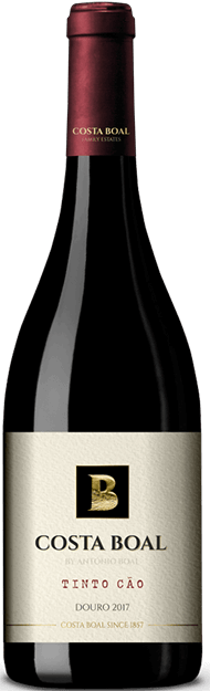 Costa Boal Tinto Cão Tinto 2017
