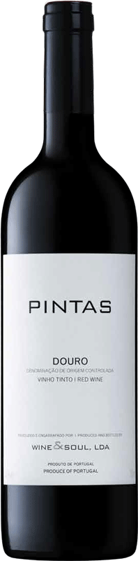 Pintas Tinto 2023