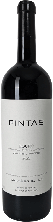 Pintas Tinto Magnum 2023