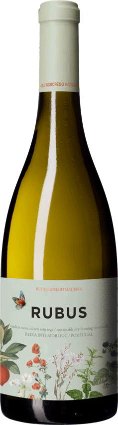 Rubus Branco 2024