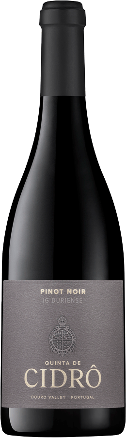 Quinta De Cidro Pinot Noir Tinto 2023
