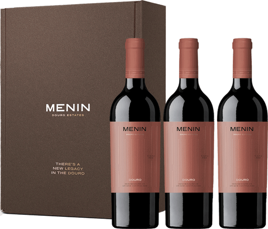 Conjunto 3 Menin Tinto 2022